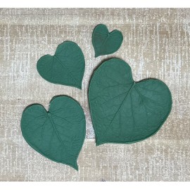 Morning Glory Leaf Forms (Set of 4)